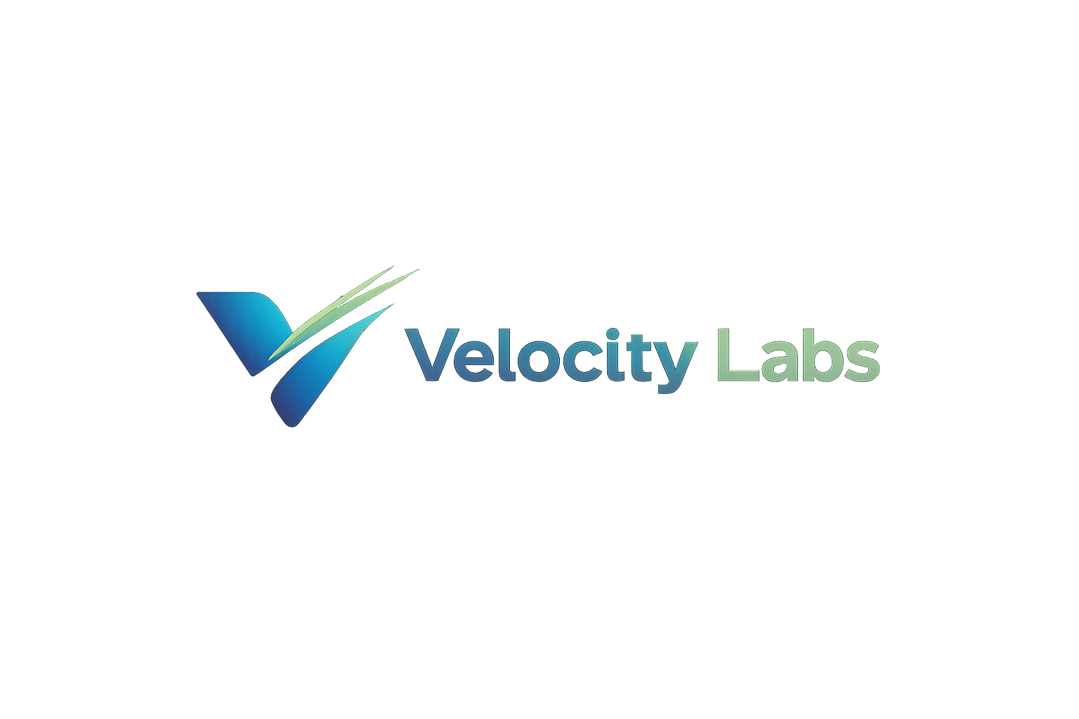 Velocity Labs